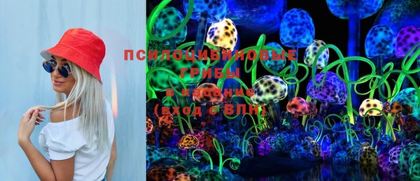 дживик Белоозёрский