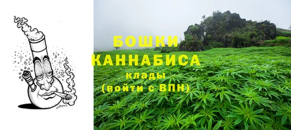 гидропоника Белокуриха